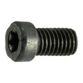 Midwest Fastener #6-48 x 1/4 in Torx Fillister Machine Screw, Black Oxide Steel, 12 PK 32971